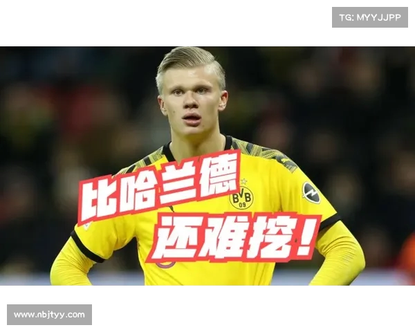 谢什科或许超越哈兰德成为未来足坛新星引关注 谢什科或许超越哈兰德成为未来足坛新星引关注